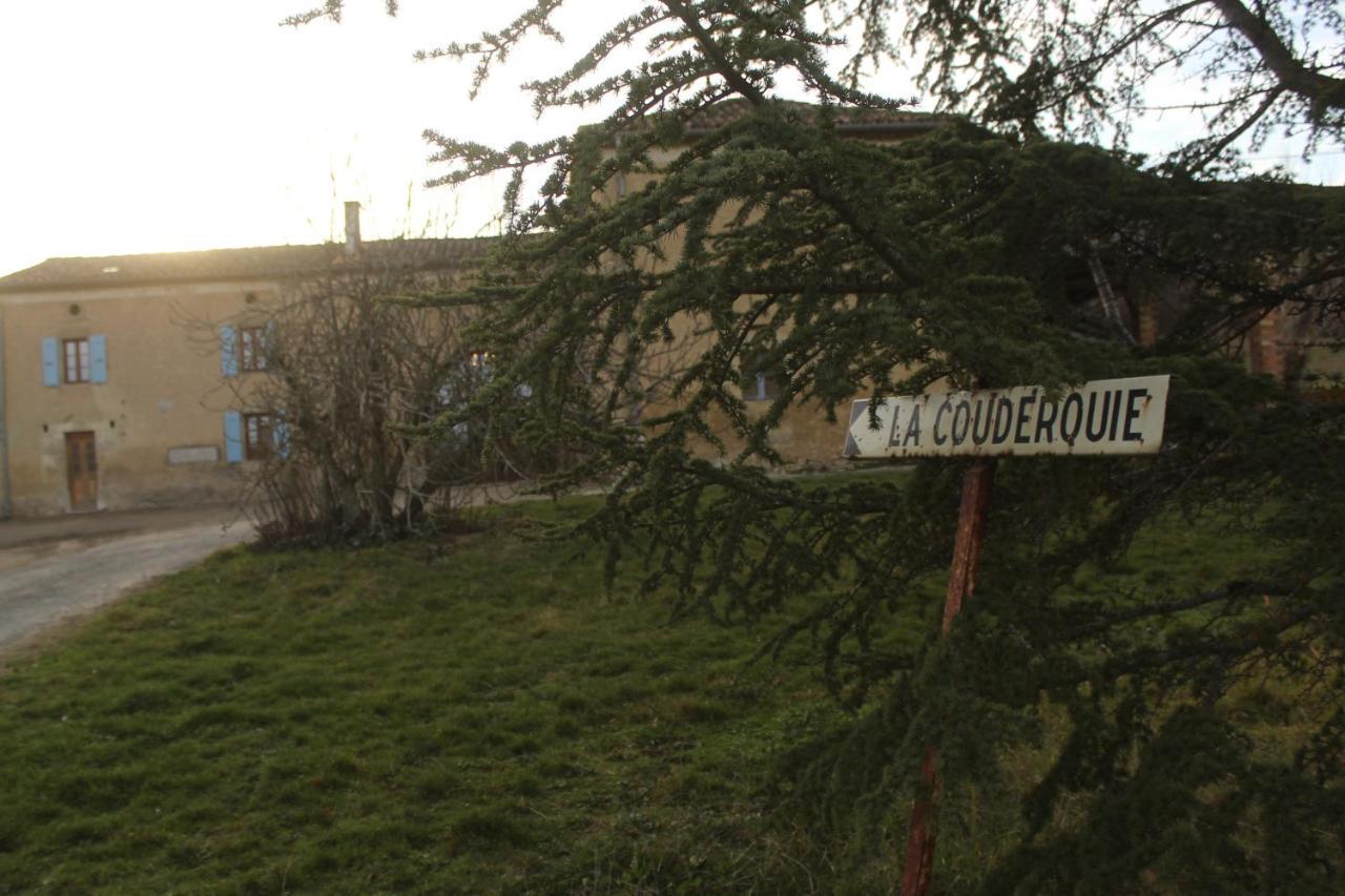 Domaine De La Couderquie Bed & Breakfast Lautrec Luaran gambar