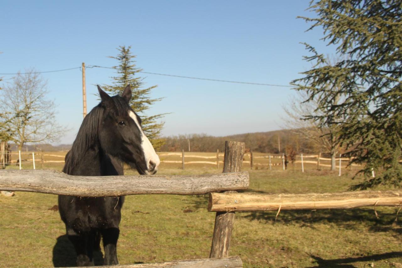 Domaine De La Couderquie Bed & Breakfast Lautrec Luaran gambar