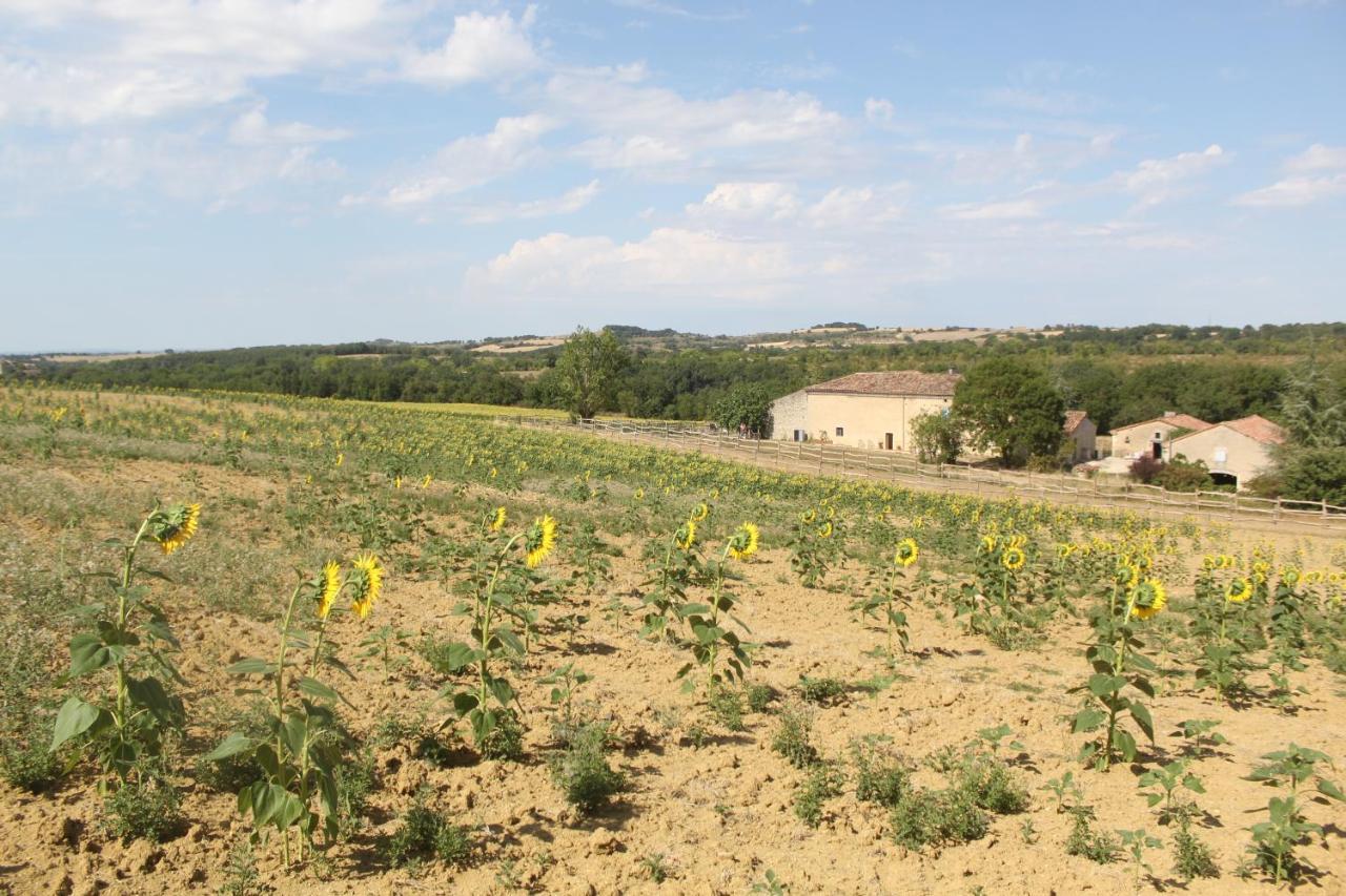 Domaine De La Couderquie Bed & Breakfast Lautrec Luaran gambar
