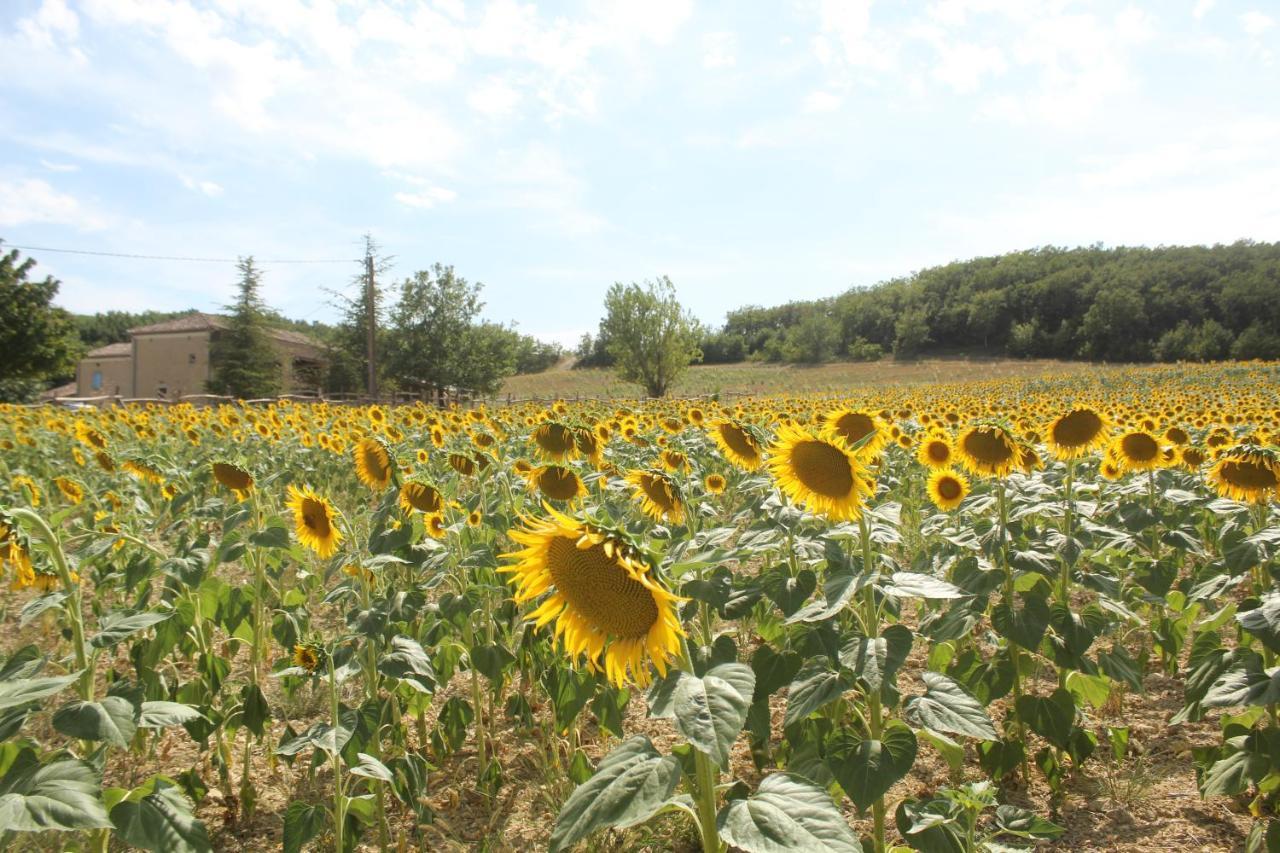 Domaine De La Couderquie Bed & Breakfast Lautrec Luaran gambar